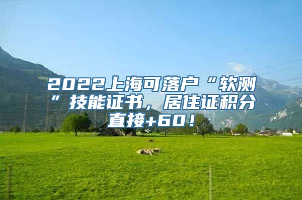 2022上海可落户“软测”技能证书，居住证积分直接+60！