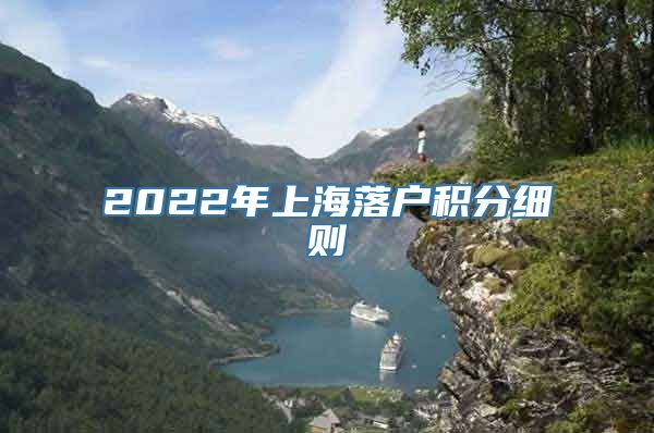 2022年上海落户积分细则