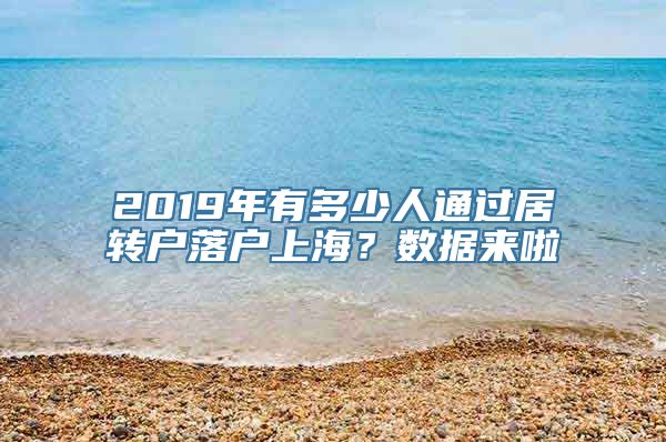 2019年有多少人通过居转户落户上海？数据来啦