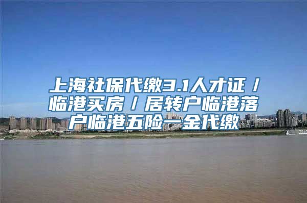 上海社保代缴3.1人才证／临港买房／居转户临港落户临港五险一金代缴