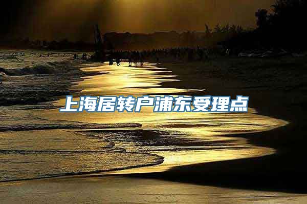 上海居转户浦东受理点