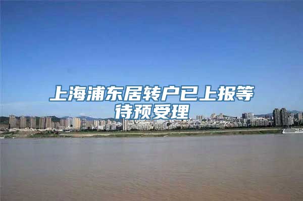 上海浦东居转户已上报等待预受理