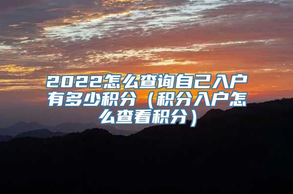 2022怎么查询自己入户有多少积分（积分入户怎么查看积分）