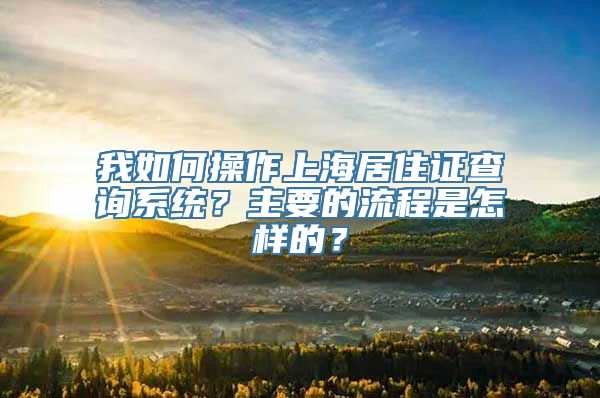 我如何操作上海居住证查询系统？主要的流程是怎样的？