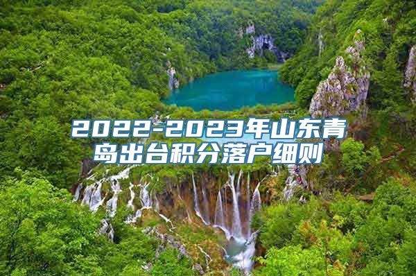 2022-2023年山东青岛出台积分落户细则