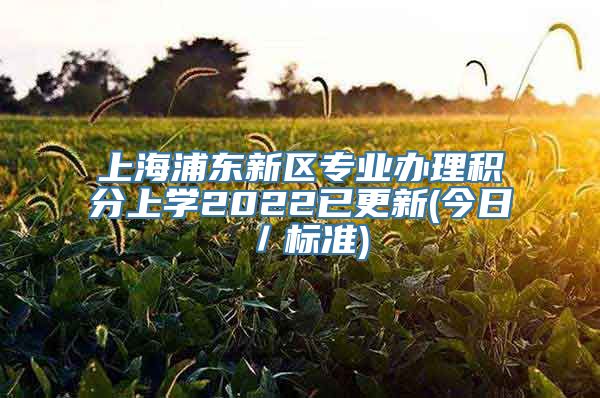 上海浦东新区专业办理积分上学2022已更新(今日／标准)