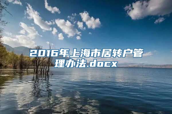 2016年上海市居转户管理办法.docx