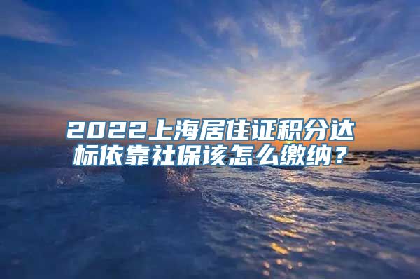 2022上海居住证积分达标依靠社保该怎么缴纳？