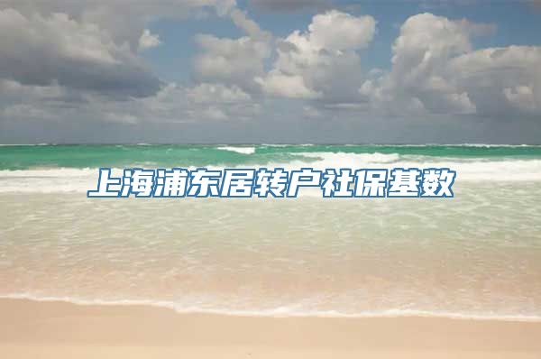 上海浦东居转户社保基数