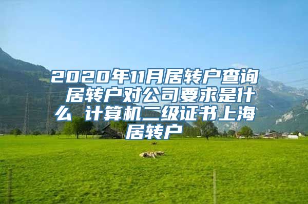 2020年11月居转户查询 居转户对公司要求是什么 计算机二级证书上海居转户