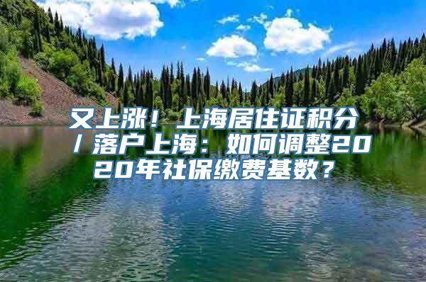 又上涨！上海居住证积分／落户上海：如何调整2020年社保缴费基数？