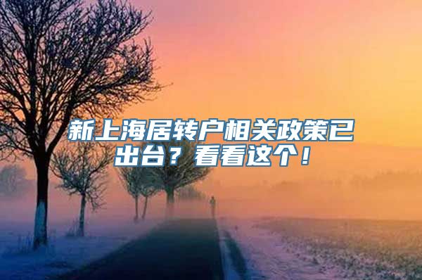 新上海居转户相关政策已出台？看看这个！