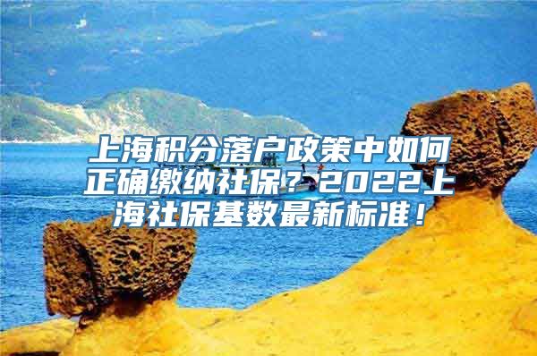 上海积分落户政策中如何正确缴纳社保？2022上海社保基数最新标准！