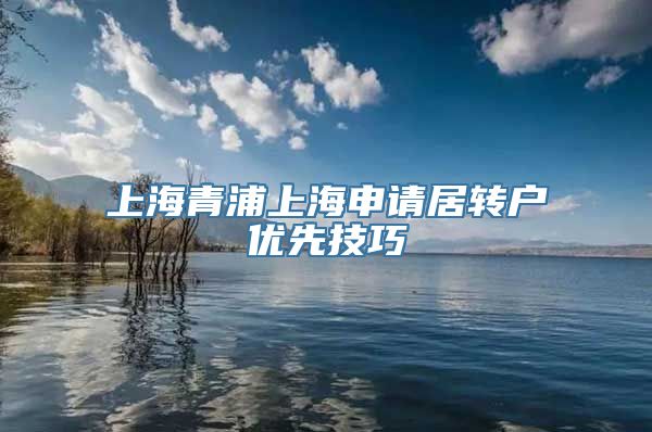 上海青浦上海申请居转户优先技巧