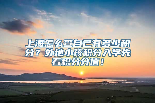 上海怎么查自己有多少积分？外地小孩积分入学先看积分分值！