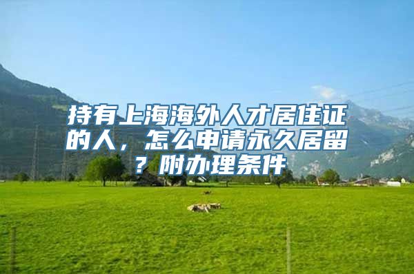 持有上海海外人才居住证的人，怎么申请永久居留？附办理条件