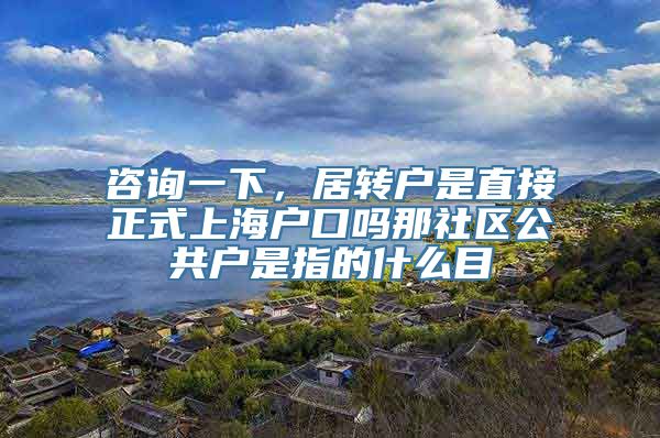 咨询一下，居转户是直接正式上海户口吗那社区公共户是指的什么目