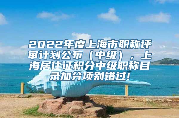 2022年度上海市职称评审计划公布（中级），上海居住证积分中级职称目录加分项别错过!