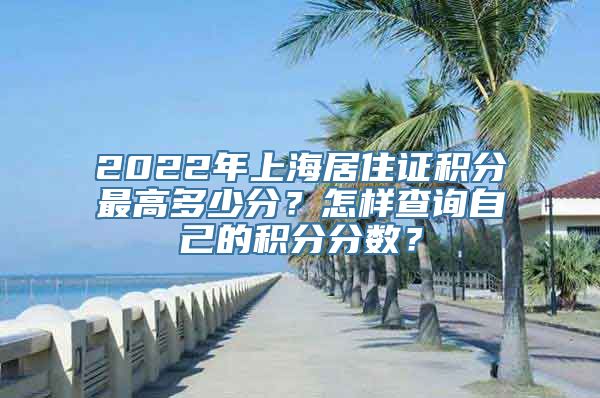 2022年上海居住证积分最高多少分？怎样查询自己的积分分数？