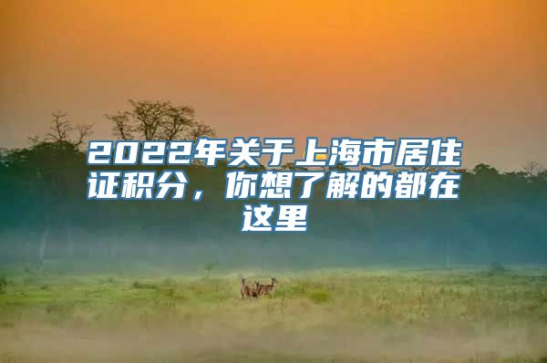 2022年关于上海市居住证积分，你想了解的都在这里