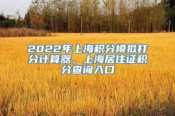 2022年上海积分模拟打分计算器，上海居住证积分查询入口