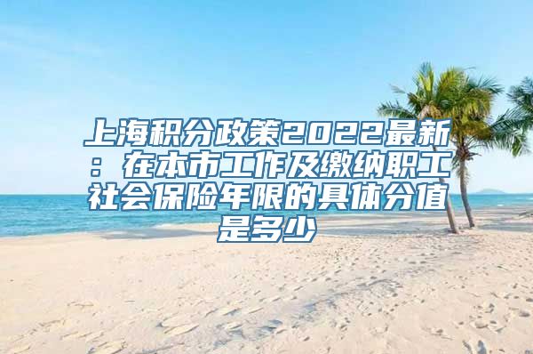 上海积分政策2022最新：在本市工作及缴纳职工社会保险年限的具体分值是多少