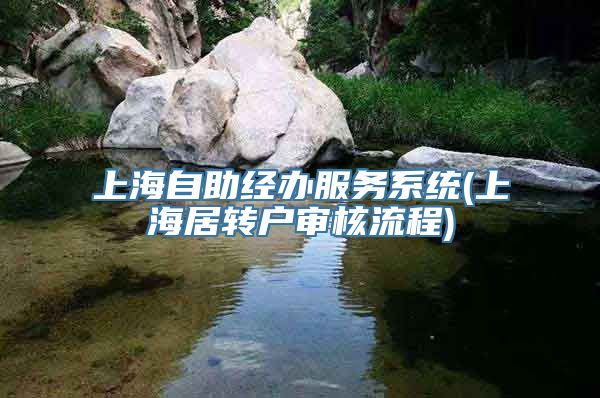 上海自助经办服务系统(上海居转户审核流程)