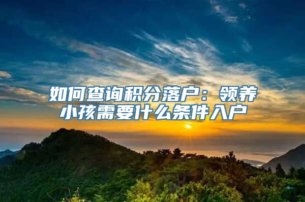 如何查询积分落户：领养小孩需要什么条件入户