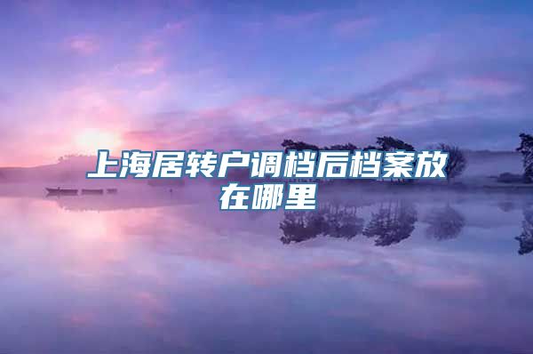 上海居转户调档后档案放在哪里