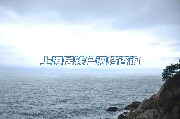 上海居转户调档咨询