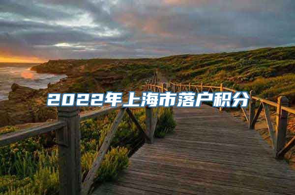 2022年上海市落户积分