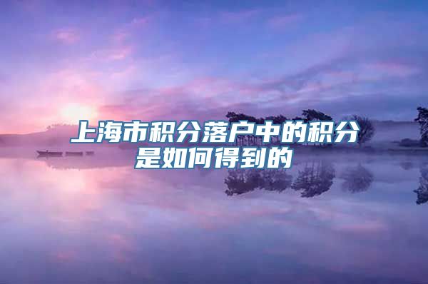 上海市积分落户中的积分是如何得到的