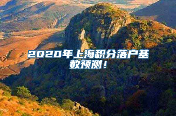 2020年上海积分落户基数预测！