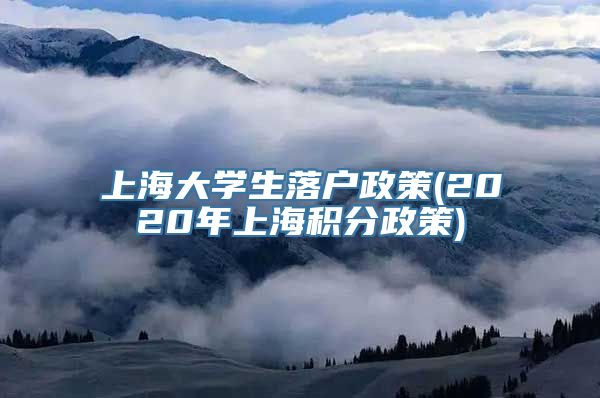 上海大学生落户政策(2020年上海积分政策)