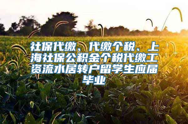 社保代缴、代缴个税、上海社保公积金个税代缴工资流水居转户留学生应届毕业