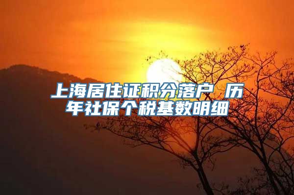 上海居住证积分落户 历年社保个税基数明细