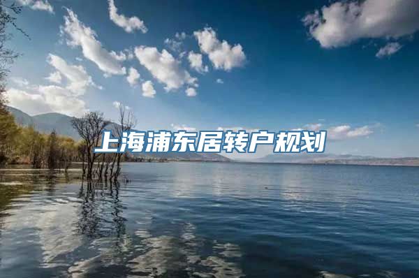 上海浦东居转户规划