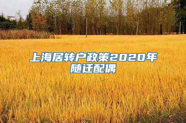 上海居转户政策2020年随迁配偶