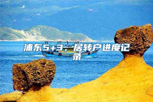 浦东5+3，居转户进度记录