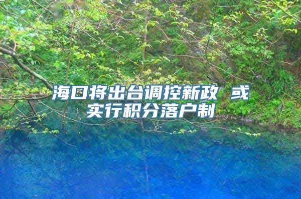 海口将出台调控新政 或实行积分落户制