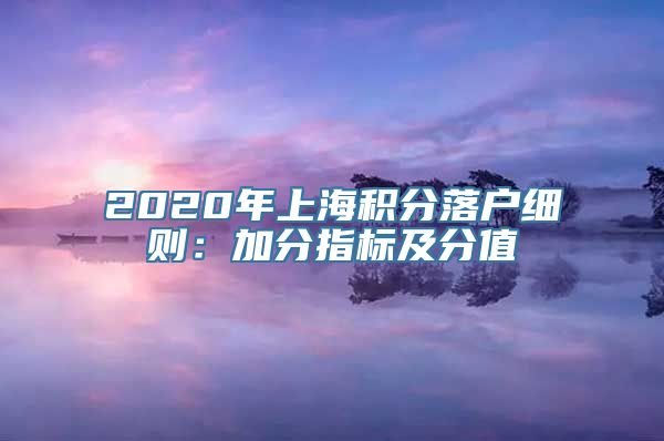 2020年上海积分落户细则：加分指标及分值