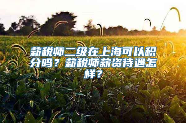 薪税师二级在上海可以积分吗？薪税师薪资待遇怎样？