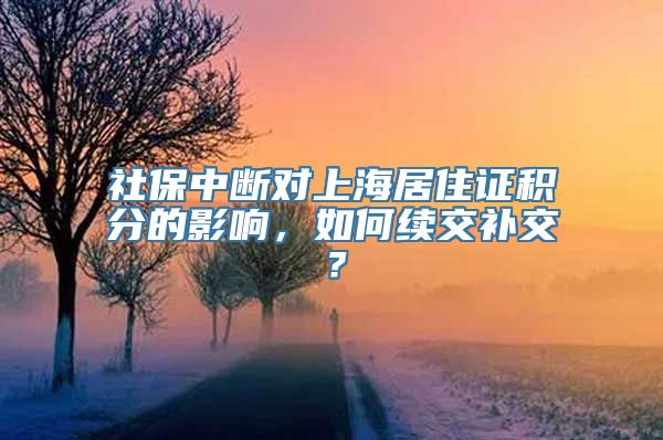 社保中断对上海居住证积分的影响，如何续交补交？