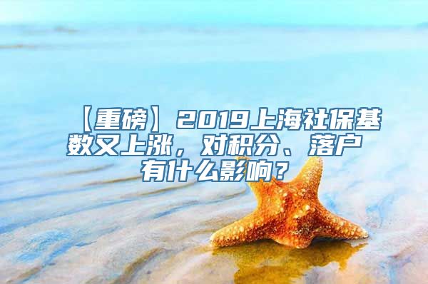 【重磅】2019上海社保基数又上涨，对积分、落户有什么影响？