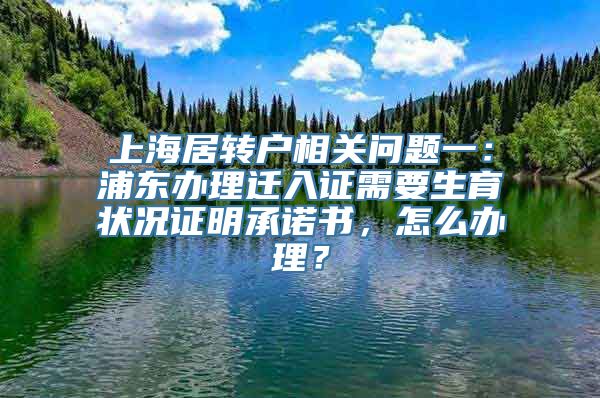 上海居转户相关问题一：浦东办理迁入证需要生育状况证明承诺书，怎么办理？