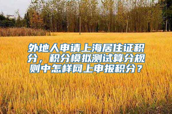 外地人申请上海居住证积分，积分模拟测试算分规则中怎样网上申报积分？