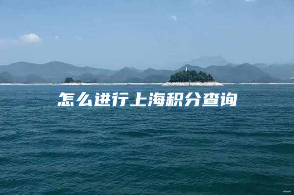 怎么进行上海积分查询