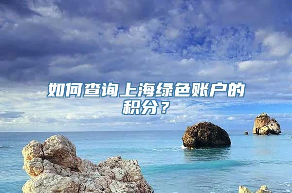 如何查询上海绿色账户的积分？