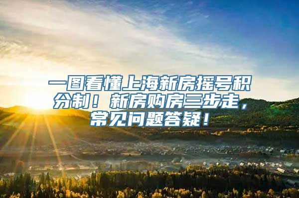 一图看懂上海新房摇号积分制！新房购房三步走，常见问题答疑！