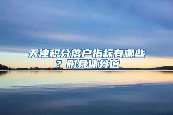 天津积分落户指标有哪些？附具体分值